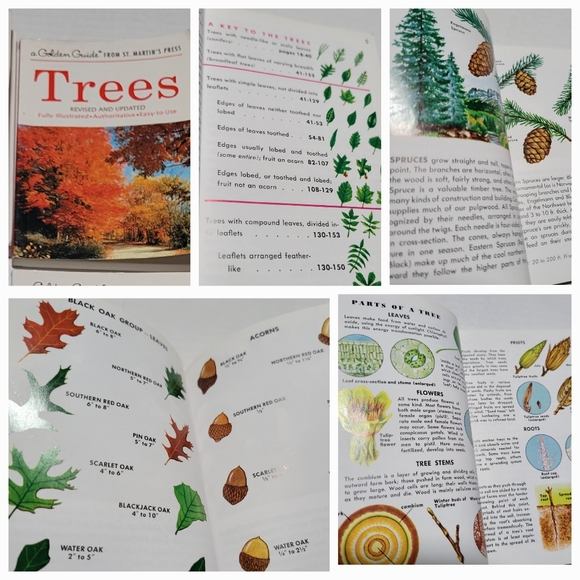 Set of 7 GOLDEN PRESS NATURE / SCIENCE GUIDES Insects, Trees, Birds, Wildflowers - Picture 5 of 10